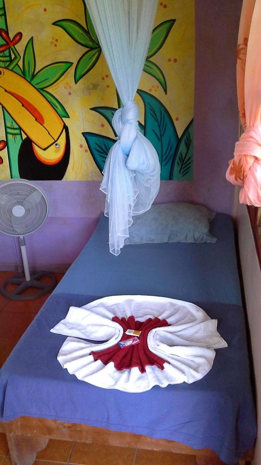 Cabinas Miss Miriam 1 Tortuguero Exterior photo